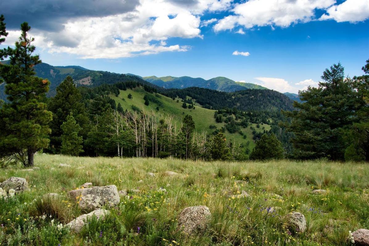 Alpine Cabin, 3 Bedrooms, Deck, Sleeps 8 Ruidoso Exteriör bild